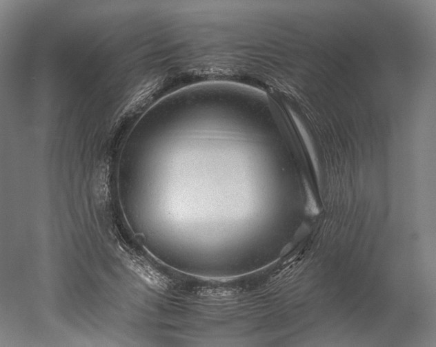 X0000052920735200507151550