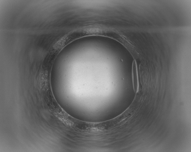 X0000052920737200507151550