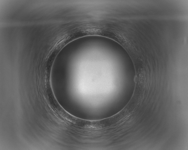 X0000052920739200507151550