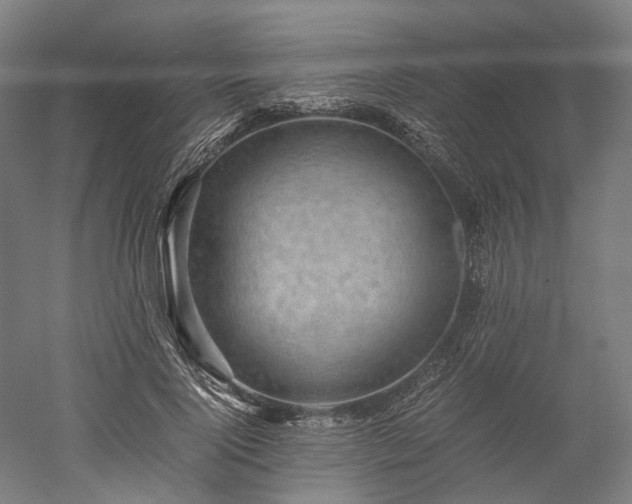 X0000052920740200507151550