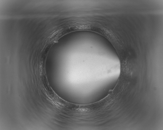X0000052920741200507151550