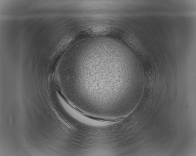 X0000052920742200507151550