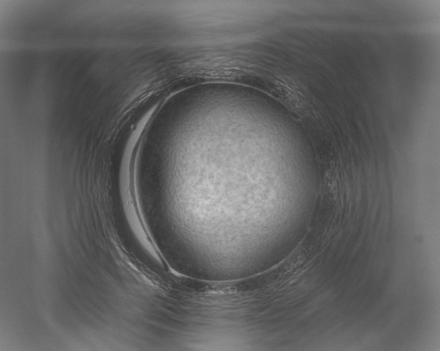 X0000052920744200507151550
