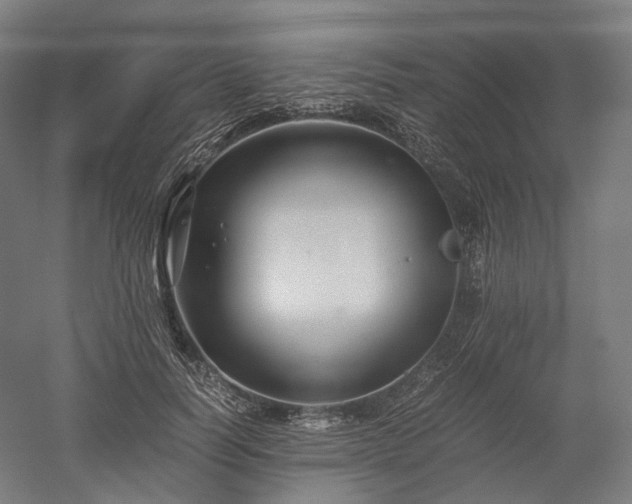 X0000052920746200507151550