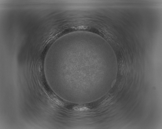 X0000052920747200507151550