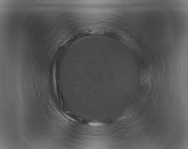 X0000052920748200507151550
