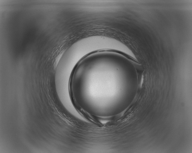 X0000052920750200507151550