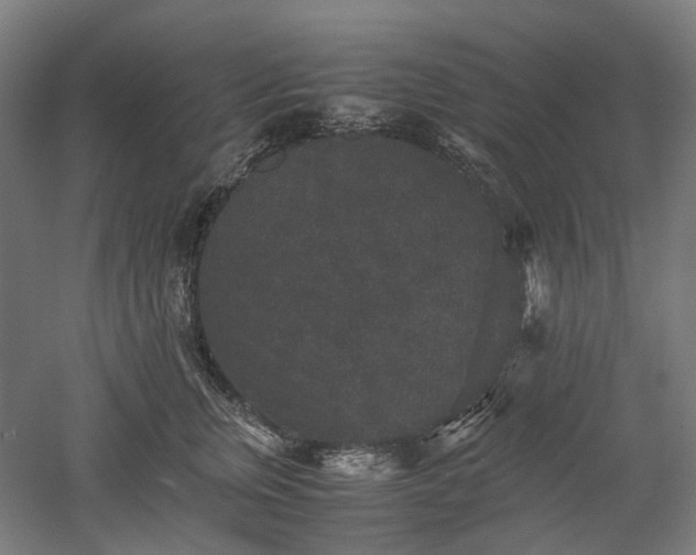 X0000052920759200507151550