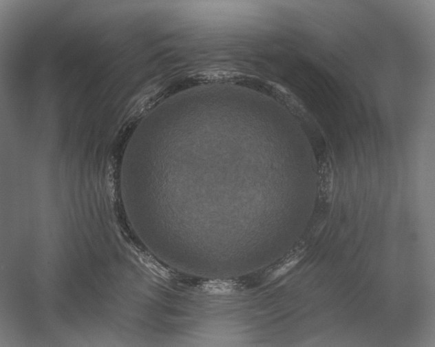 X0000052920762200507151550