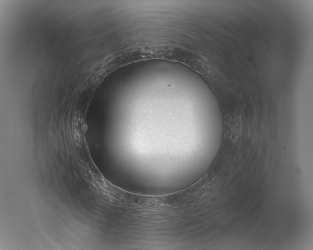 X0000052920770200507151549