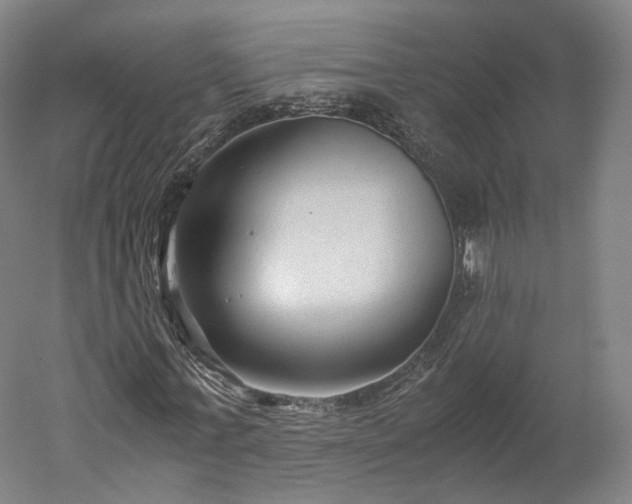 X0000052920771200507151549