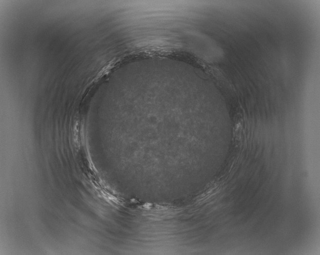 X0000052920772200507151549