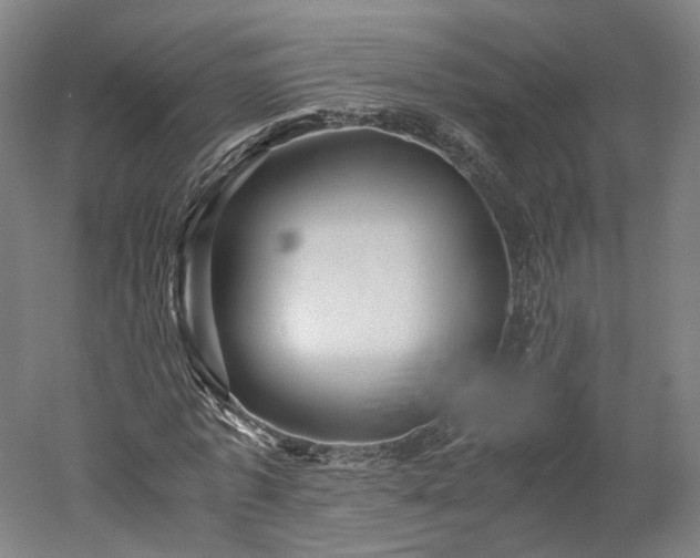 X0000052920773200507151549