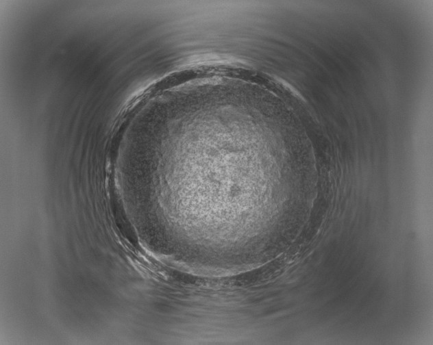 X0000052920775200507151549