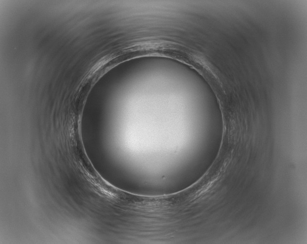 X0000052920778200507151549