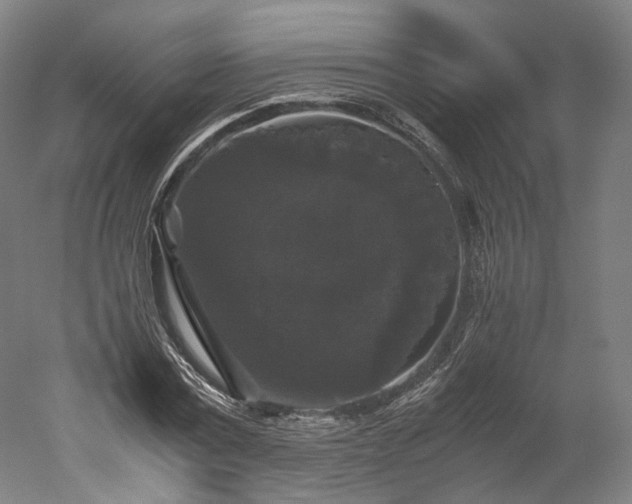 X0000052920779200507151549