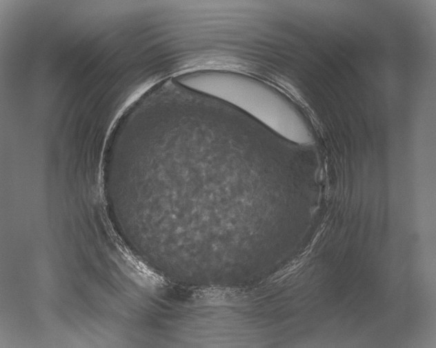X0000052920780200507151549