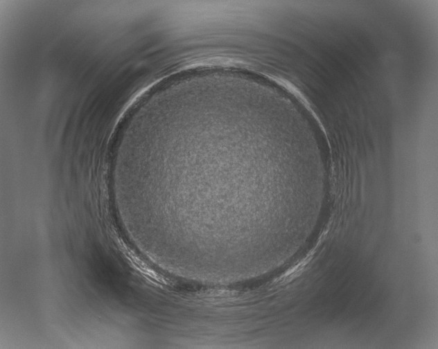 X0000052920783200507151549