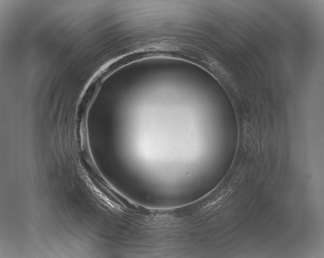X0000052920784200507151549