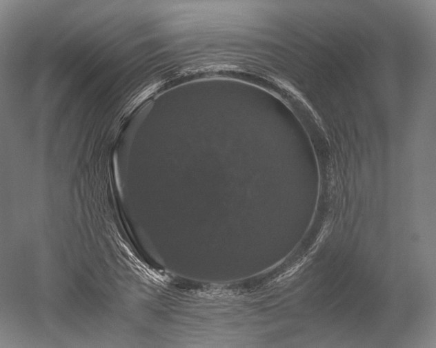 X0000052920785200507151549