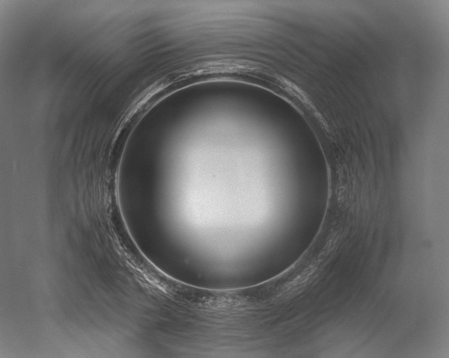 X0000052920786200507151549