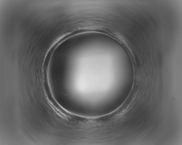 X0000052920787200507151549