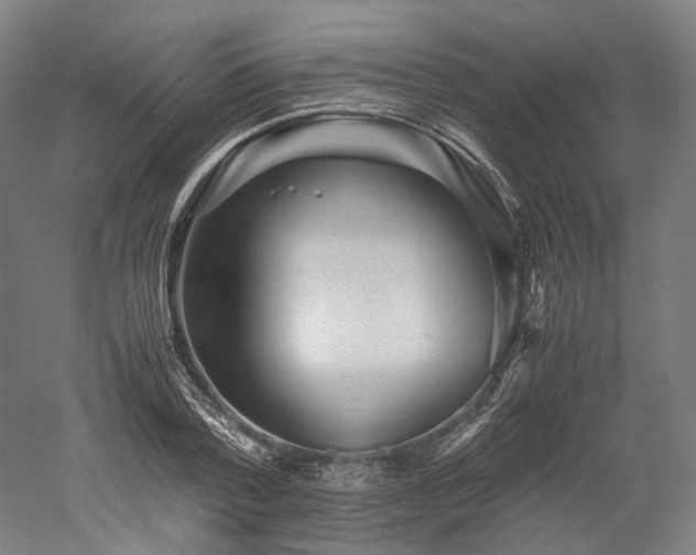 X0000052920788200507151549