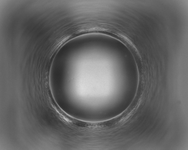 X0000052920793200507151549