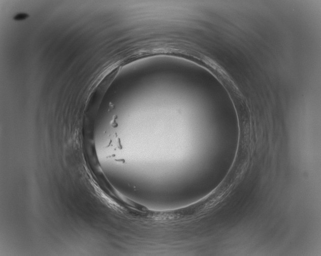 X0000052920801200507151549