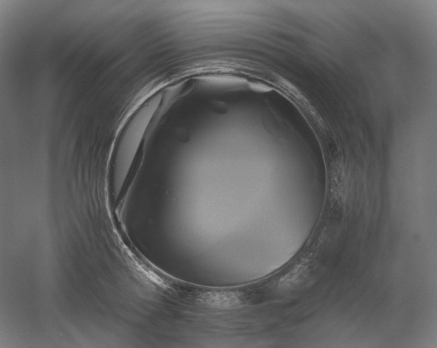X0000052920802200507151549