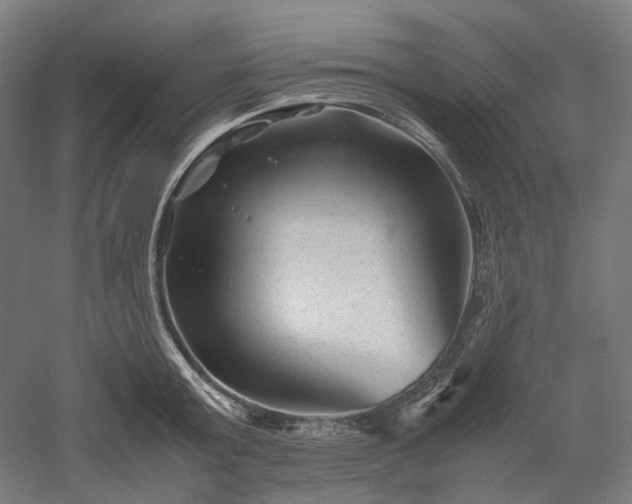 X0000052920803200507151549