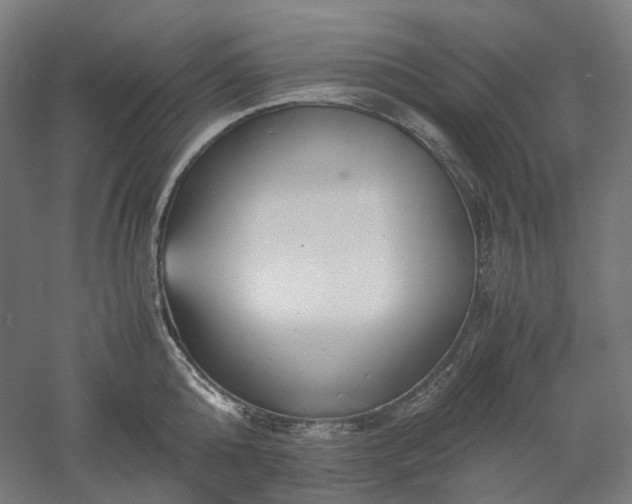 X0000052920808200507151549