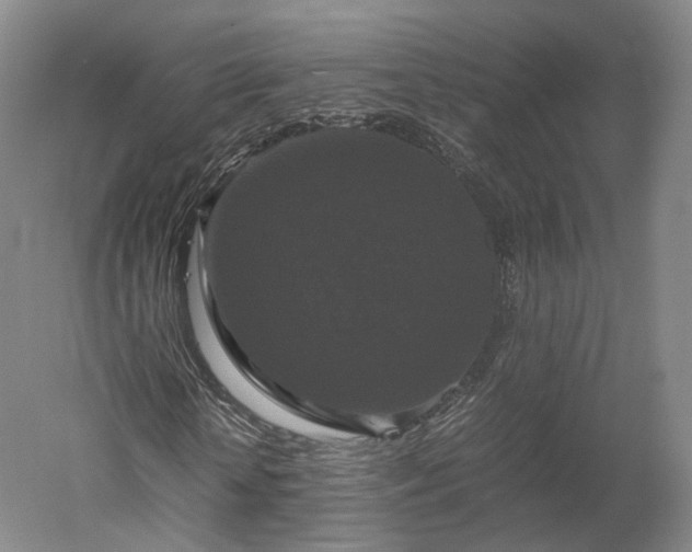 X0000052920818200507151548