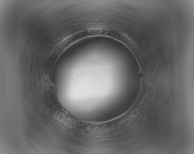 X0000052920821200507151548