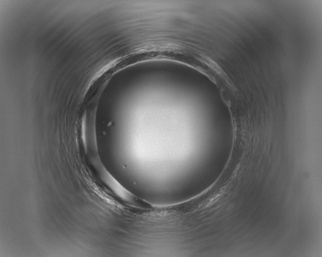 X0000052920826200507151548