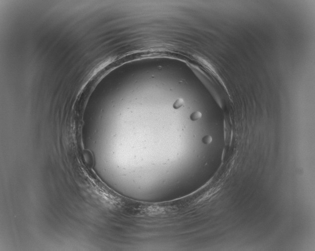 X0000052920827200507151548