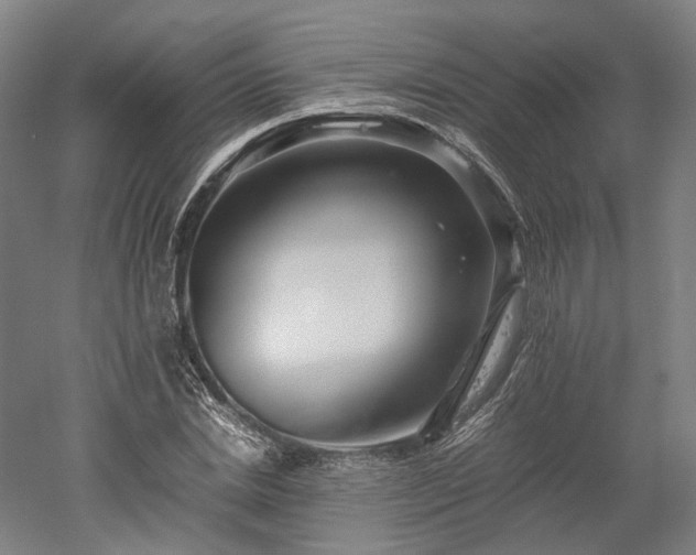 X0000052920830200507151548
