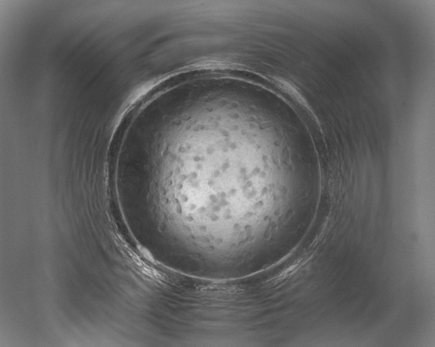 X0000052920831200507151548