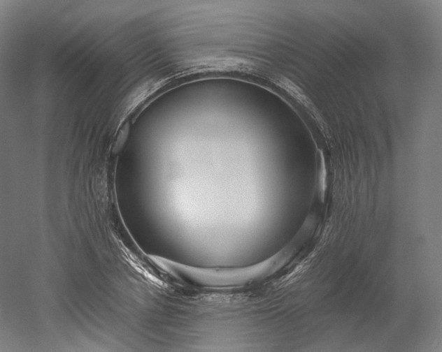 X0000052920834200507151548