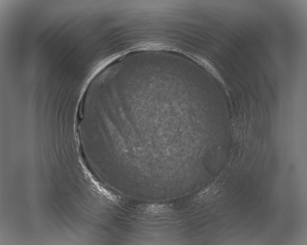 X0000052920839200507151548