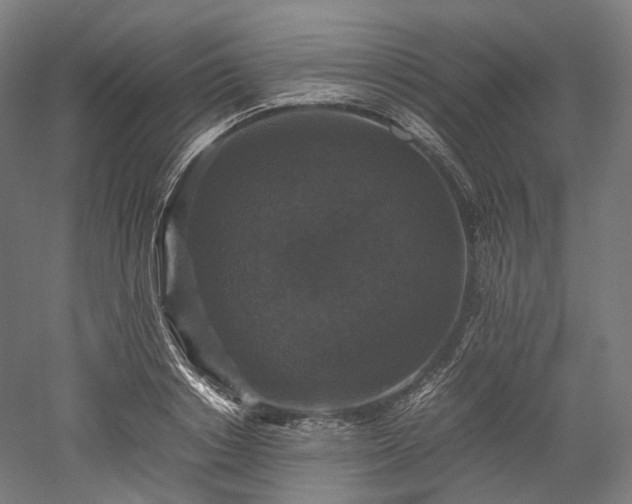 X0000052920842200507151548