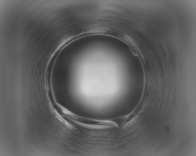 X0000052920843200507151548