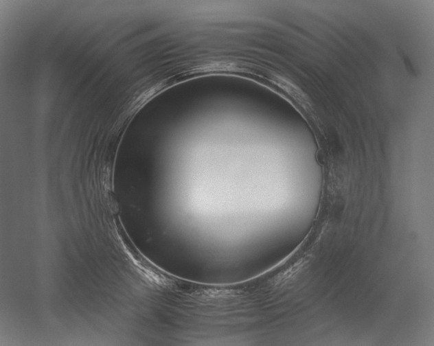 X0000052920849200507151548