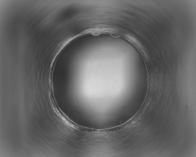 X0000052920852200507151548