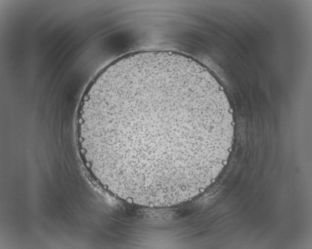 X0000052920856200507151548