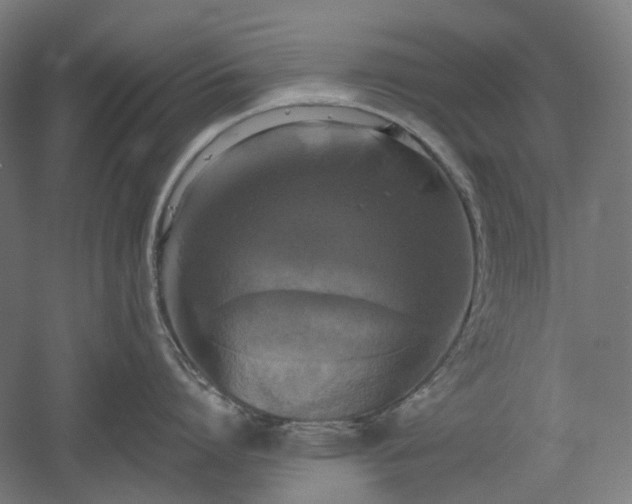 X0000052920864200507151549