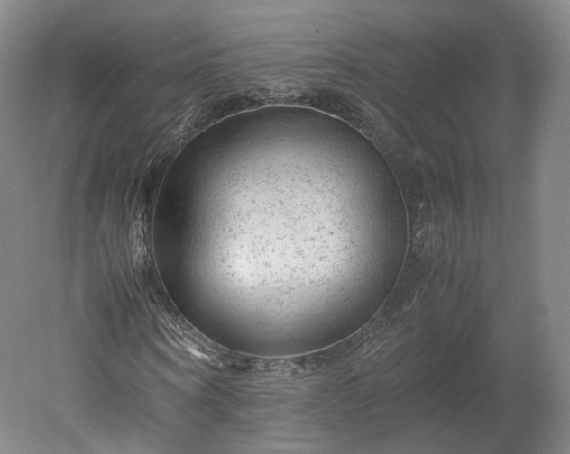 X0000052920866200507151548