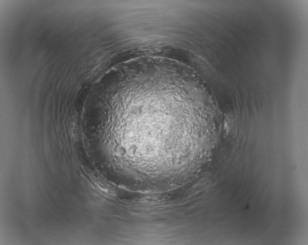 X0000052920867200507151548