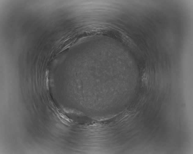 X0000052920868200507151548