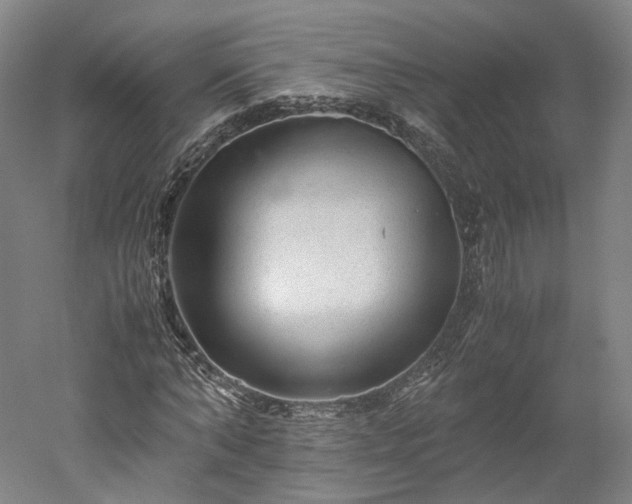 X0000052920870200507151548